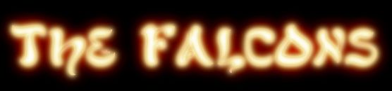 falcons2.jpg